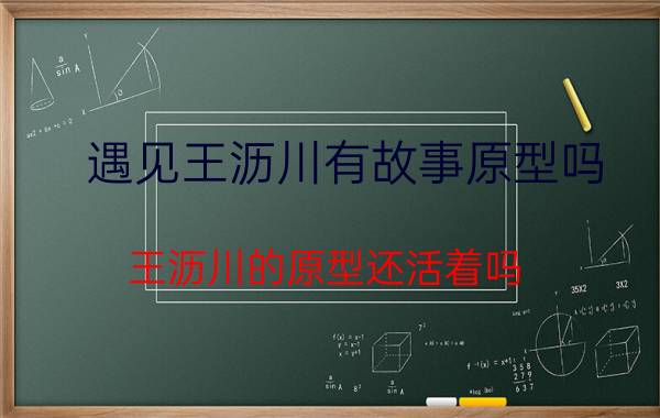 遇见王沥川有故事原型吗（王沥川的原型还活着吗 遇见王沥川讲述了什么故事）